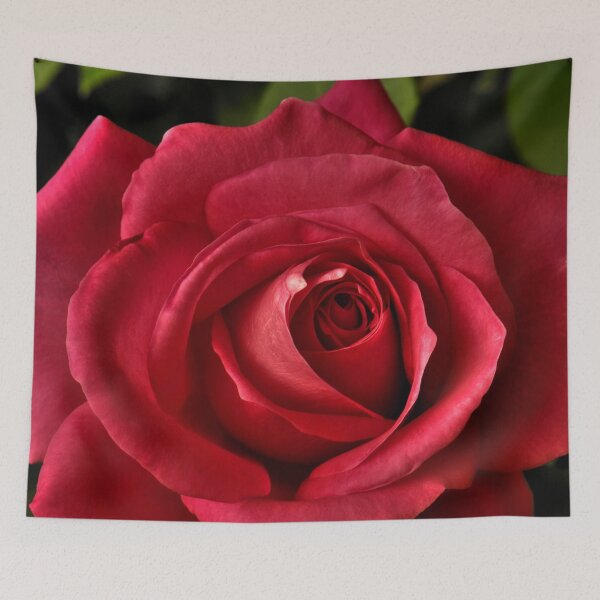 Item preview, Red Rose in Blooming Perfection designed and sold by Steven Jodoin.