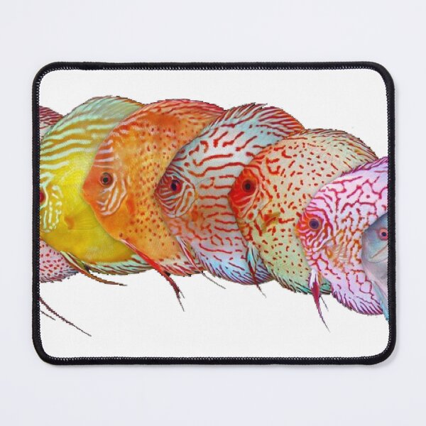 Item preview, Discus Fish from Amazon designed and sold by killies.