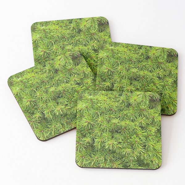 Item preview, Closeup of Balsam Fir Leaves designed and sold by Sinemathk.