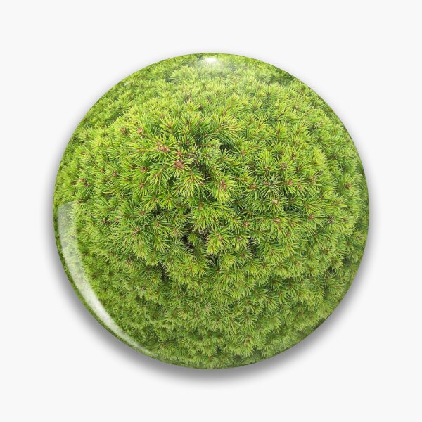 Item preview, A Trained Balsam Fir Tree designed and sold by Sinemathk.