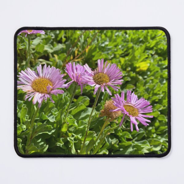 Item preview, Lilac Seaside Fleabane Flowers designed and sold by Sinemathk.