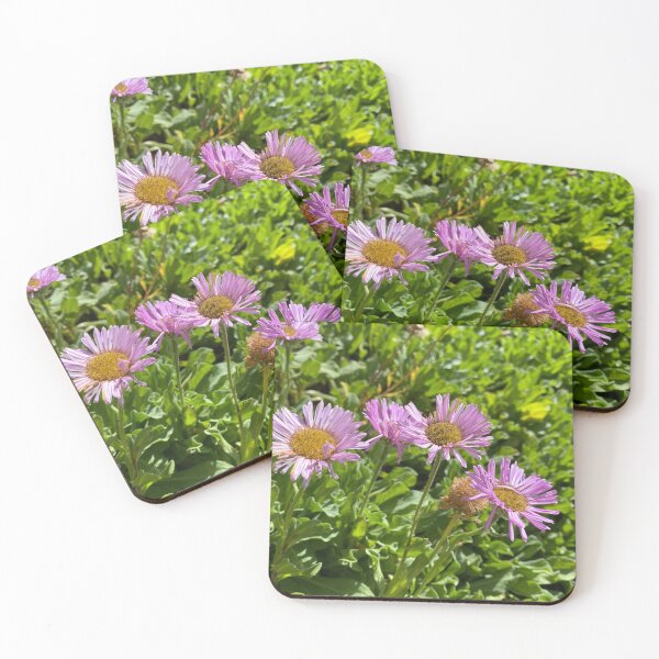 Item preview, Lilac Seaside Fleabane Flowers designed and sold by Sinemathk.