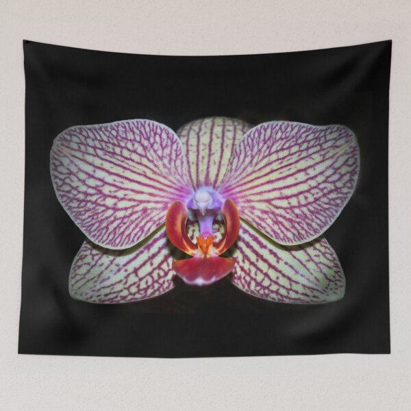 Item preview, Orchid designed and sold by Savannah Gibbs.
