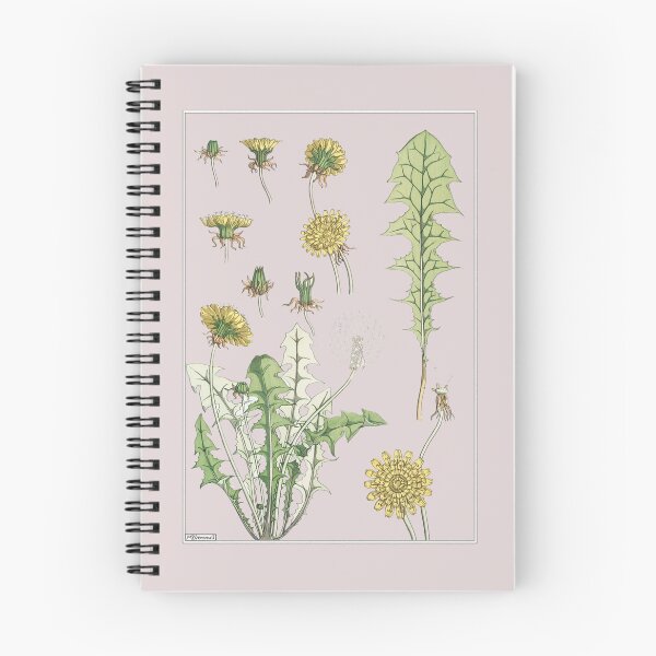 Item preview, Vintage Dandelion Illustration  designed and sold by artemisxluna89.