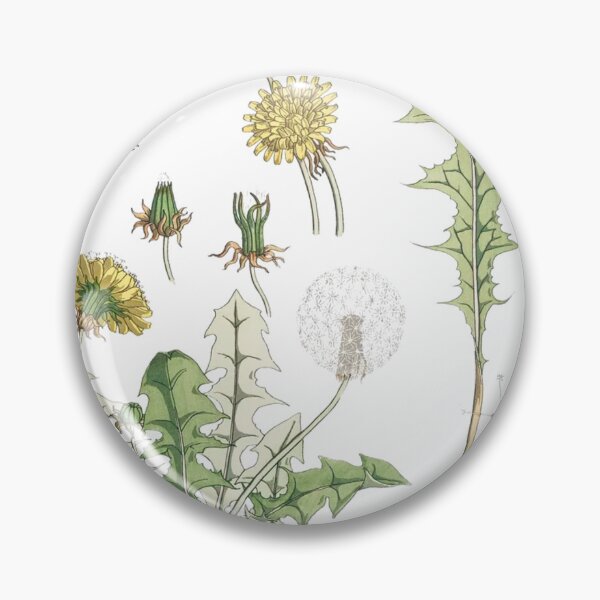 Item preview, Vintage Dandelion Illustration  designed and sold by artemisxluna89.