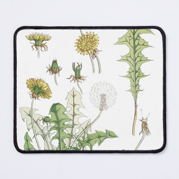 Item preview, Vintage Dandelion Illustration  designed and sold by artemisxluna89.