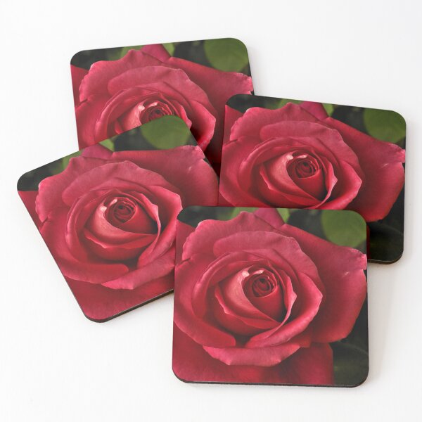 Item preview, Red Rose in Blooming Perfection designed and sold by Steven Jodoin.