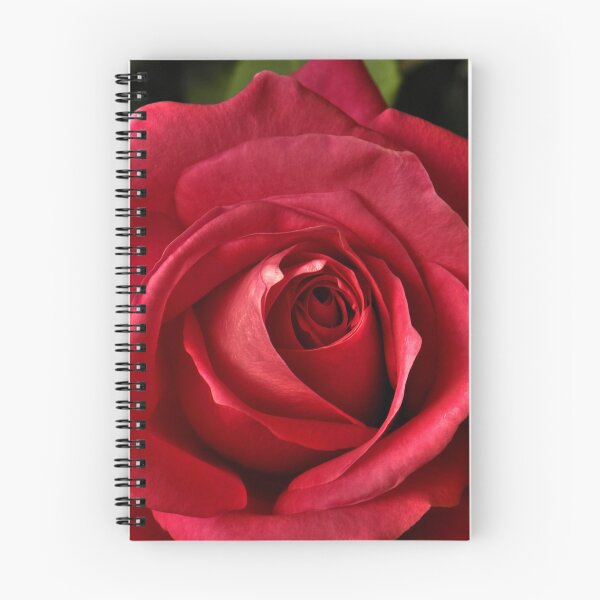 Item preview, Red Rose in Blooming Perfection designed and sold by Steven Jodoin.