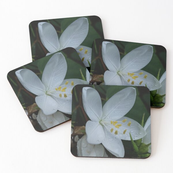 Item preview, white flower designed and sold by khaanju.