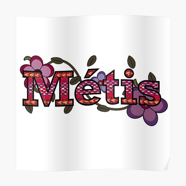 D FINITION DE M TIS visual data 7