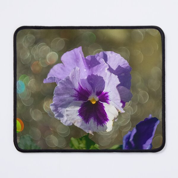Item preview, Pansy Flower designed and sold by Alisonchambers2.