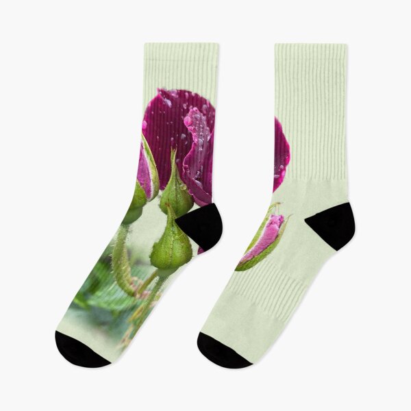 Item preview, Red rose designed and sold by indiafrankk.