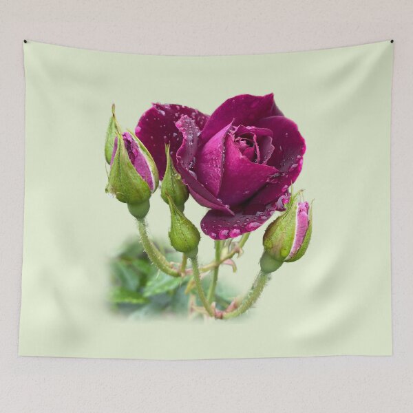 Item preview, Red rose designed and sold by indiafrankk.