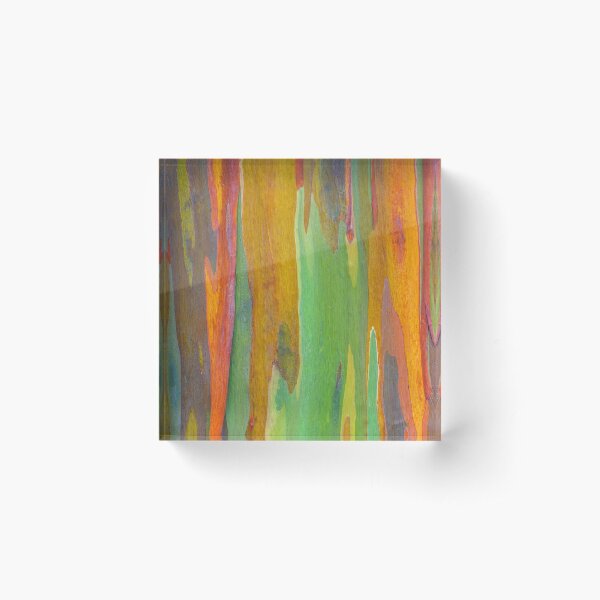 Aperçu de l'œuvre Eucalyptus arc-en-ciel créée et vendue par runlenarun.