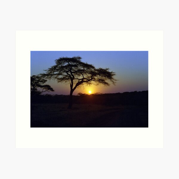 Item preview, Sunrise over Serengeti, Tanzania designed and sold by Bev Pascoe.