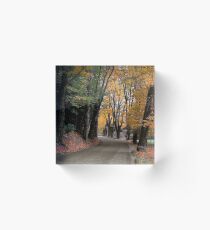 Bend in the Buffalo Road Acrylic Block