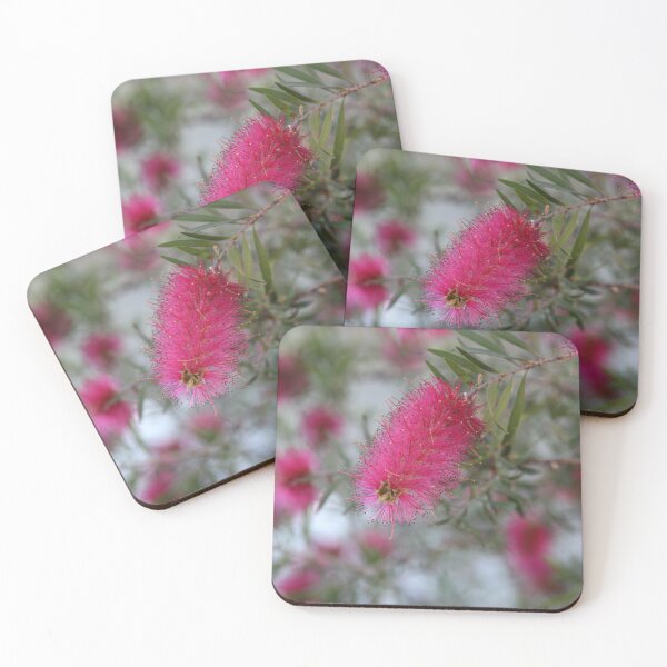 Item preview, Pink Bottlebrush designed and sold by STHogan2.