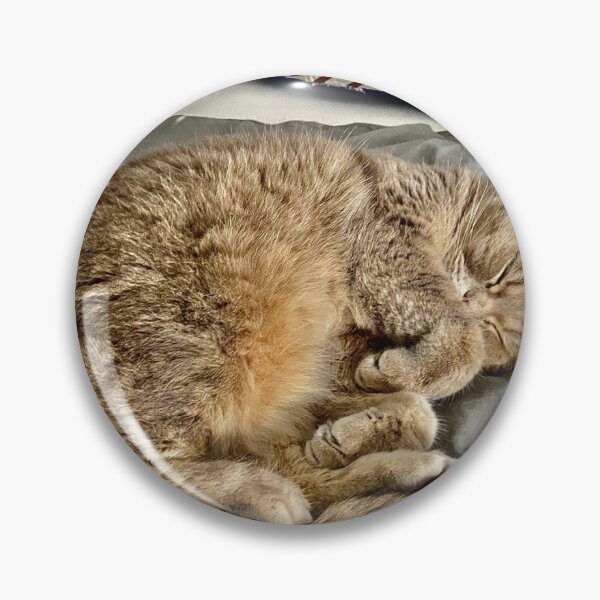 Item preview, A sleeping cute cat. designed and sold by Sweilystyle.