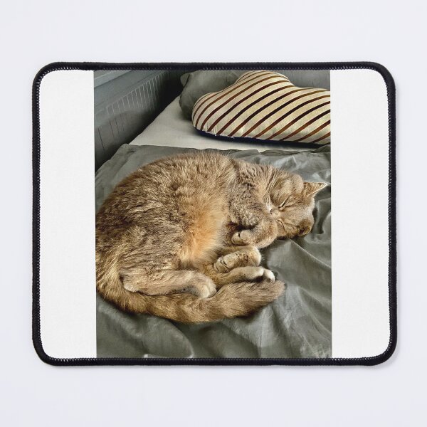 Item preview, A sleeping cute cat. designed and sold by Sweilystyle.