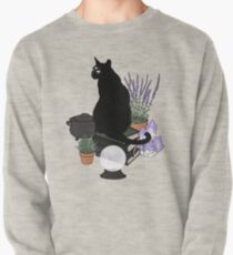The Familiar (Transparent) Pullover