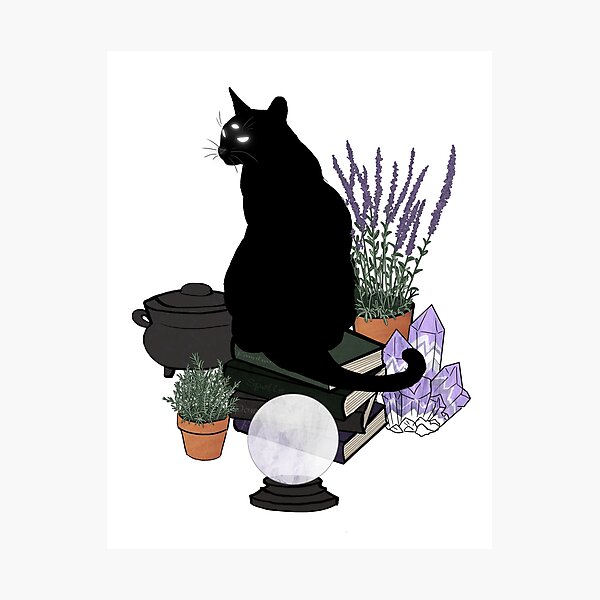 The Familiar (Transparent) Photographic Print