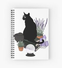 The Familiar (Transparent) Spiral Notebook