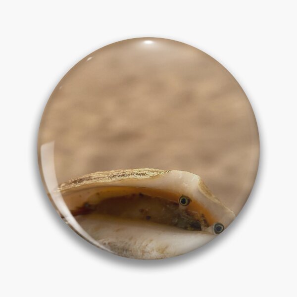 Item preview, sea shell designed and sold by Sweilystyle.
