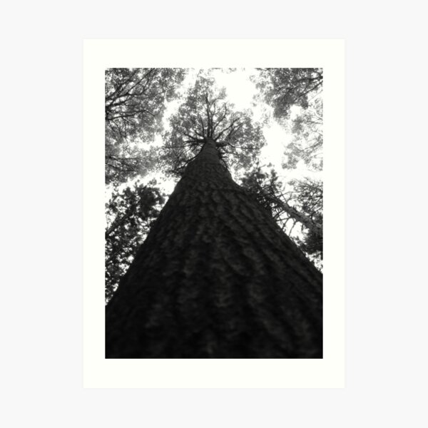 Vertical View Art Print