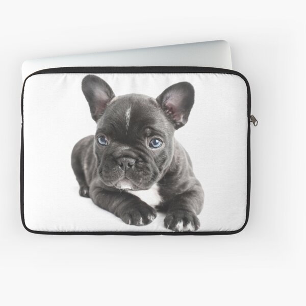 Designed to Fit Any Laptop/Notebook/ultrabook/MacBook with Display Size 11.6 Inches Funny French Bulldog with Cute Gesture Pattern Neoprene Sleeve Pouch Case Bag for 11.6 Inch Laptop Computer 