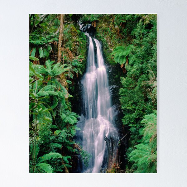 Item preview, Errinundra Waterfall, Victoria. designed and sold by Ern Mainka.