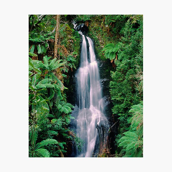 Item preview, Errinundra Waterfall, Victoria. designed and sold by Ern Mainka.