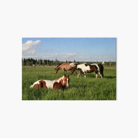 Urban Ponies Art Board Print