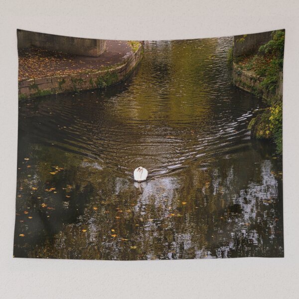 Item preview, Swan swimming along the canal in autumn, Bath designed and sold by Rowena Ko.