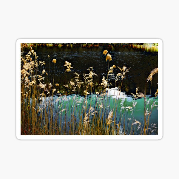 Item preview, Tidal River designed and sold by mawaho.
