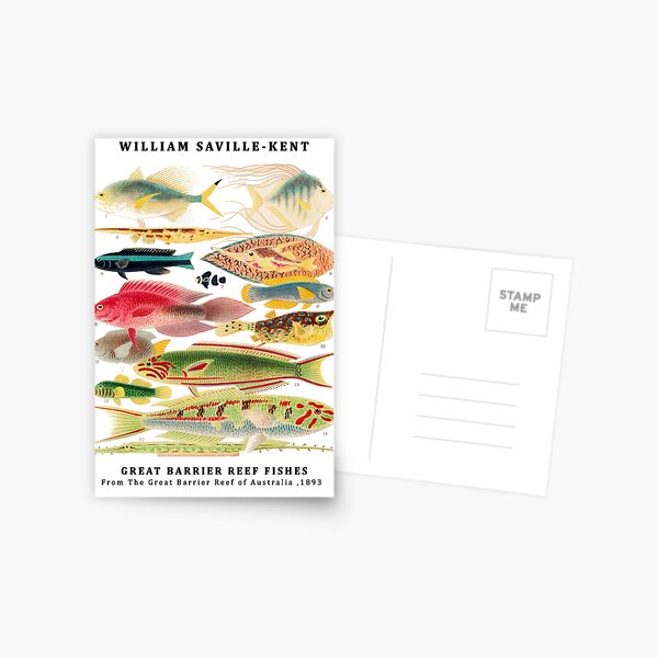 Artikel-Vorschau von Fische des Great Barrier Reef von William Saville Kent, das Great Barrier Reef in Australien, das Great Barrier Reef, Fischmalerei,, designt und verkauft von Tamas Das.