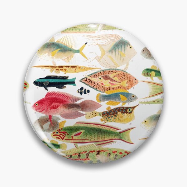 Item preview, Great Barrier Reef Fishes By William Saville Kent ,the great barrier reef of australia, the great barrier reef,fish painting, designed and sold by Tamas Das.