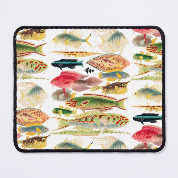 Item preview, Great Barrier Reef Fishes By William Saville Kent ,the great barrier reef of australia, the great barrier reef,fish painting, designed and sold by Tamas Das.
