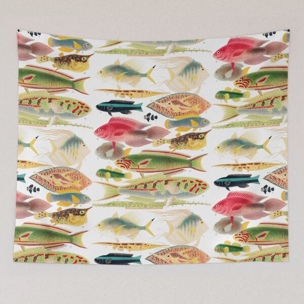 Item preview, Great Barrier Reef Fishes By William Saville Kent ,the great barrier reef of australia, the great barrier reef,fish painting, designed and sold by Tamas Das.