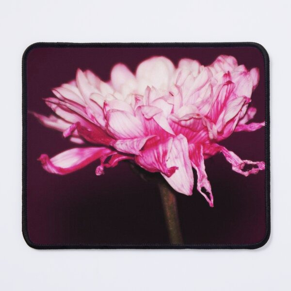 Item preview, pink and white flower designed and sold by Francespoppy.