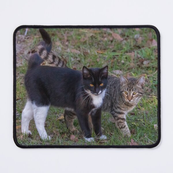 Item preview, Twisted Tails Cat Friends designed and sold by Roland McCoy.