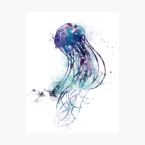 Jellyfish Photographic Print