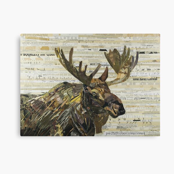 Eastern Moose Collage by C.E. White Canvas Print