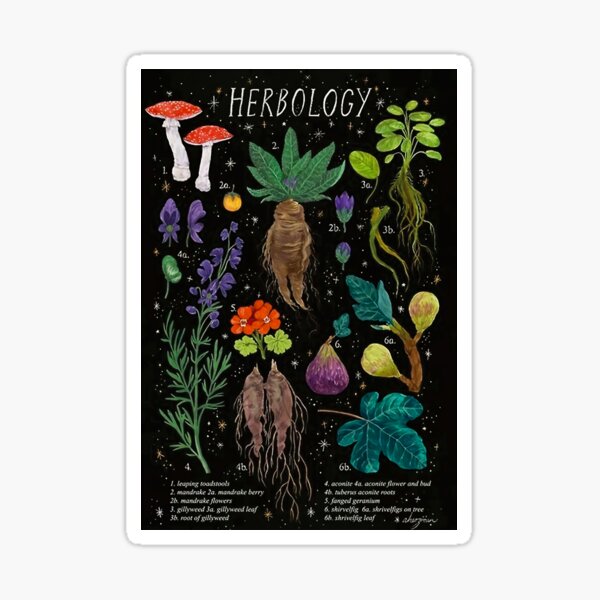 "Herbology" Sticker for Sale by Frankirene Redbubble