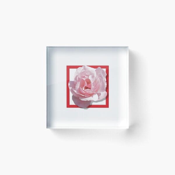Item preview, flower box logo tee designed and sold by NiNino.