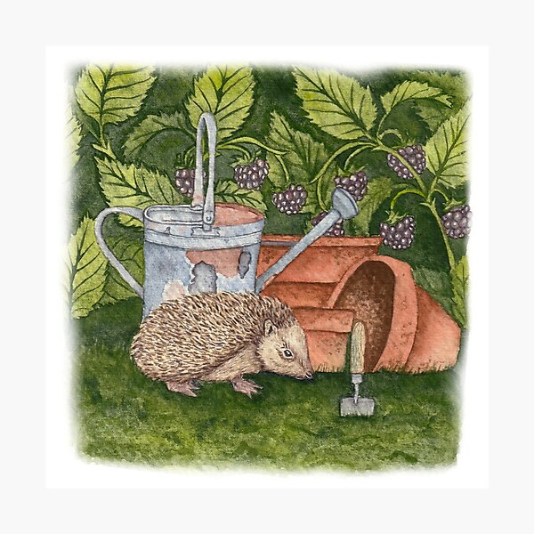 Item preview, Garden Hedgehog designed and sold by Fern Forest Paper.
