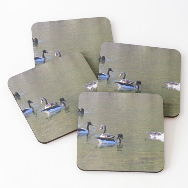 Item preview, Ducks on the Pond at the Wetlands designed and sold by KazM.