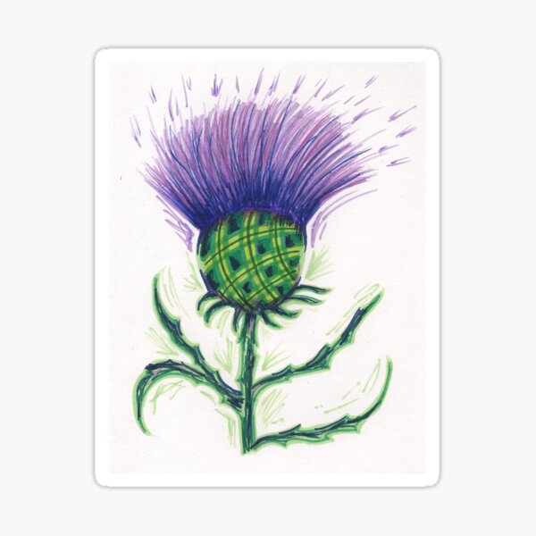 Scottish Tartan Thistle Sticker