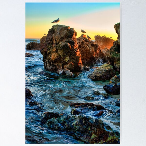 Item preview, Seagulls At Sunset In Laguna Beach California designed and sold by K D Graves Photography.