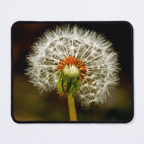 Item preview, Flowers designed and sold by Toi-Vido.