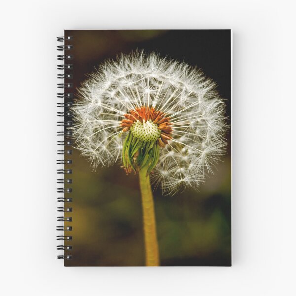 Item preview, Flowers designed and sold by Toi-Vido.